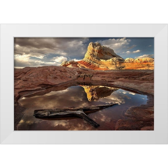 SMO 14x11 White Modern Wood Framed Museum Art Print Titled - A log in a pool reflect white pockets area in northern Arizona