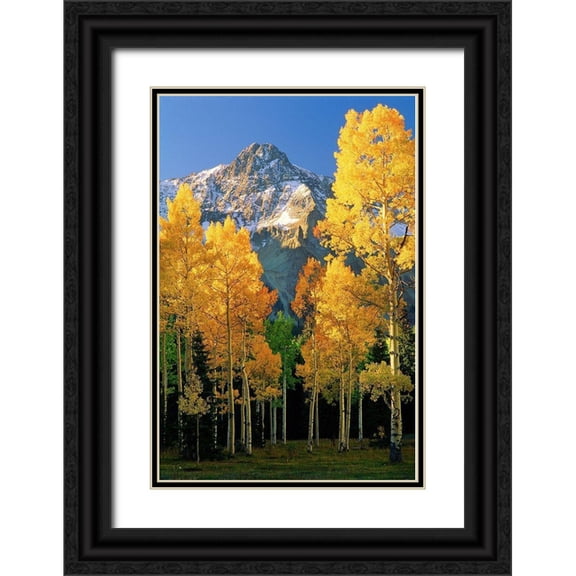 SMO 17x24 Black Ornate Wood Framed with Double Matting Museum Art Print Titled - A mountain actually named unnamed 13334 flanked by Fall Aspen trees in the Colorado Rocky Mountains