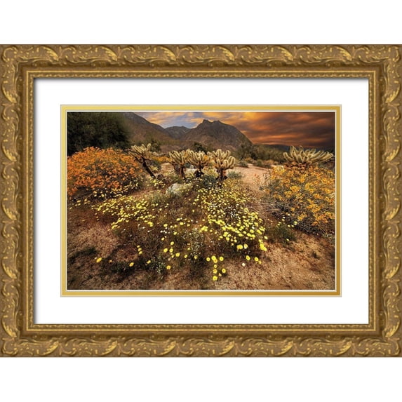 SMO 18x13 Gold Ornate Wood Framed with Double Matting Museum Art Print Titled - Desert wildflower bloom at Anza Borrego Park in California