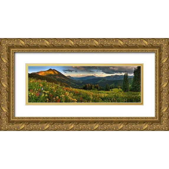 SMO 18x9 Gold Ornate Wood Framed with Double Matting Museum Art Print Titled - Colorado-Crested Butte-wildflowers