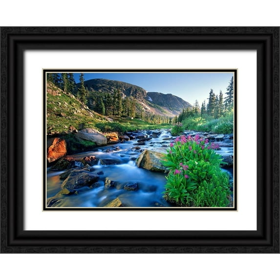 SMO 24x18 Black Ornate Wood Framed with Double Matting Museum Art Print Titled - Fresh Rocky Mountain spring runoff cascades past wildflowers in bloom