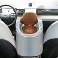 thumbnail image 1 of SNGMN Dog Car Seat for Small Dogs and Cats Detachable Washable Pet Booster Seat Fits Car Center Console Home Travel Car Cushion Outing Handbag, 1 of 9