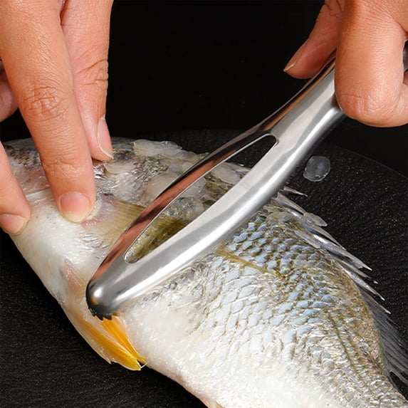 SNGMN Stainless Steel Fish Scale Scraper, Heavy Duty Kitchen Tool with Comfortable Handle, Efficient Seafood Cleaning Gadget for Fish, Shrimp, and Poultry