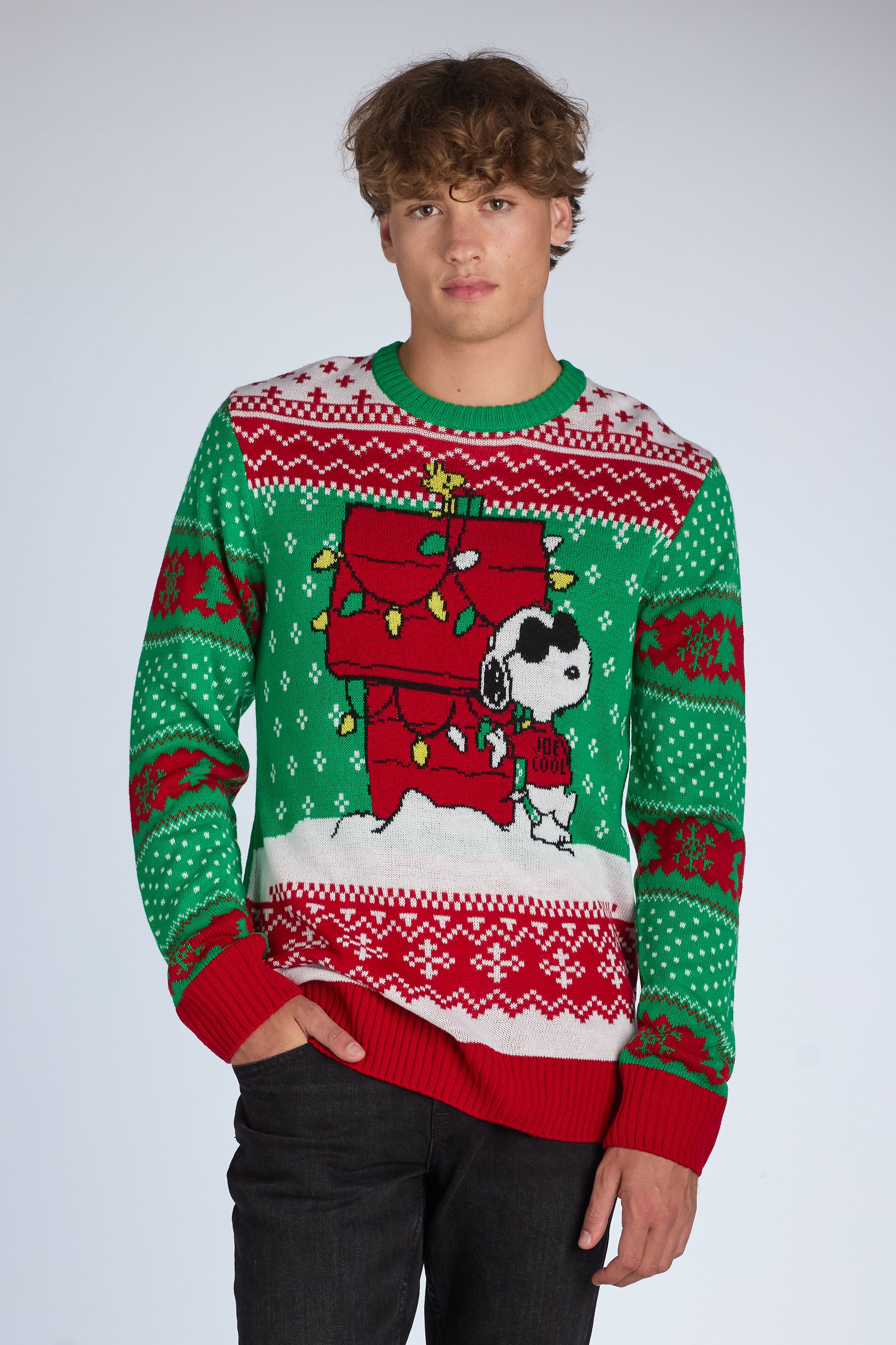Snoopy Mens & Big Mens Ugly Christmas Sweater, Sizes S-3XL Snoopy Mens & Big Mens Ugly Christmas Sweater, Sizes S-3XL
