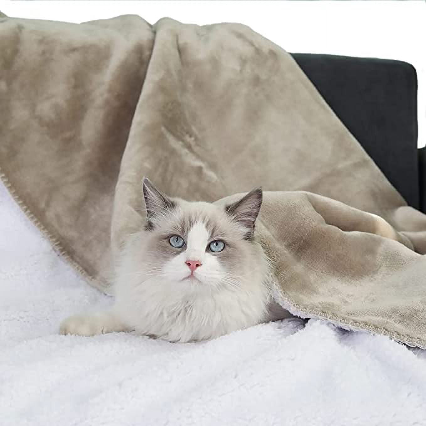 SOFTHUG dog blanket khaki 50*60