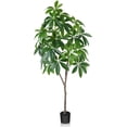 thumbnail image 1 of SOGUYI Artificial Plants Pachira Fake Money Tree 6FT Tall Artificial Plant for Home Decor Indoor, Faux Plastic Tree with 36 Adjustable Stems & 234 Leaves Perfect Housewarming Gift, 1 of 6