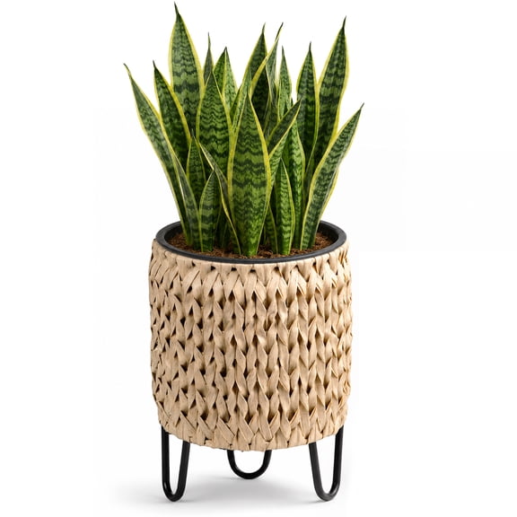 SOLHOME 9.8" x 9.8" x 13.8" Round Beige Resin Wicker Planter with PP Insert and Stand