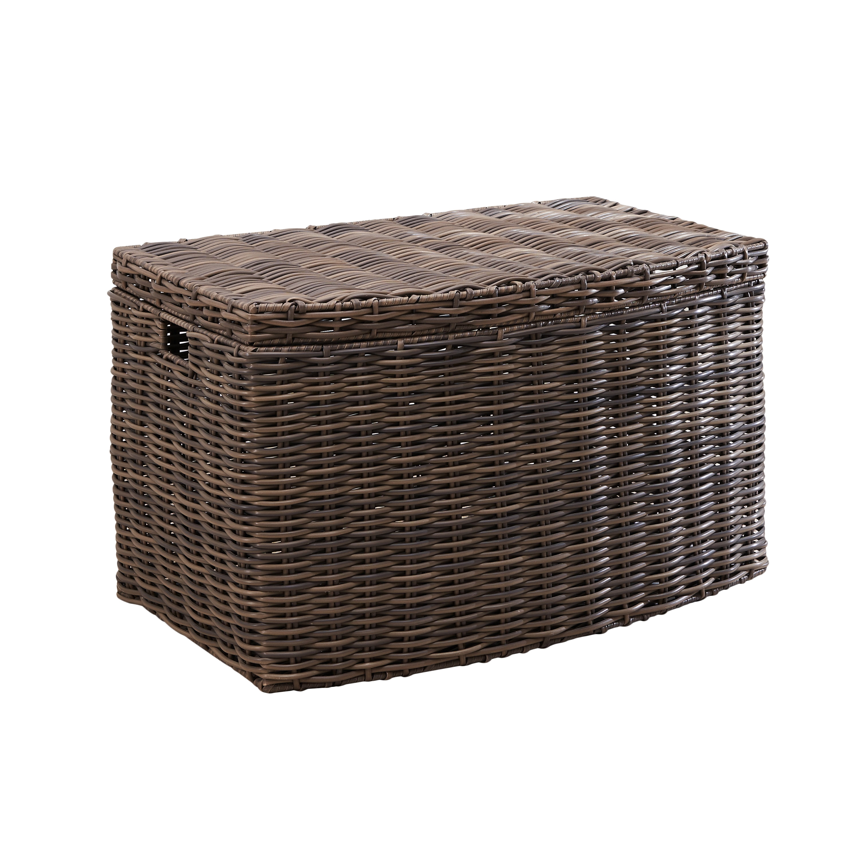 Solhome Joseph Rectangular Resin Dark Brown Wicker Trunk 24" x 14" x