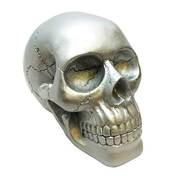 SOLID SILVER HOMOSAPIEN SKULL STATUE RESIN FIGURINE AWESOME DETAILS