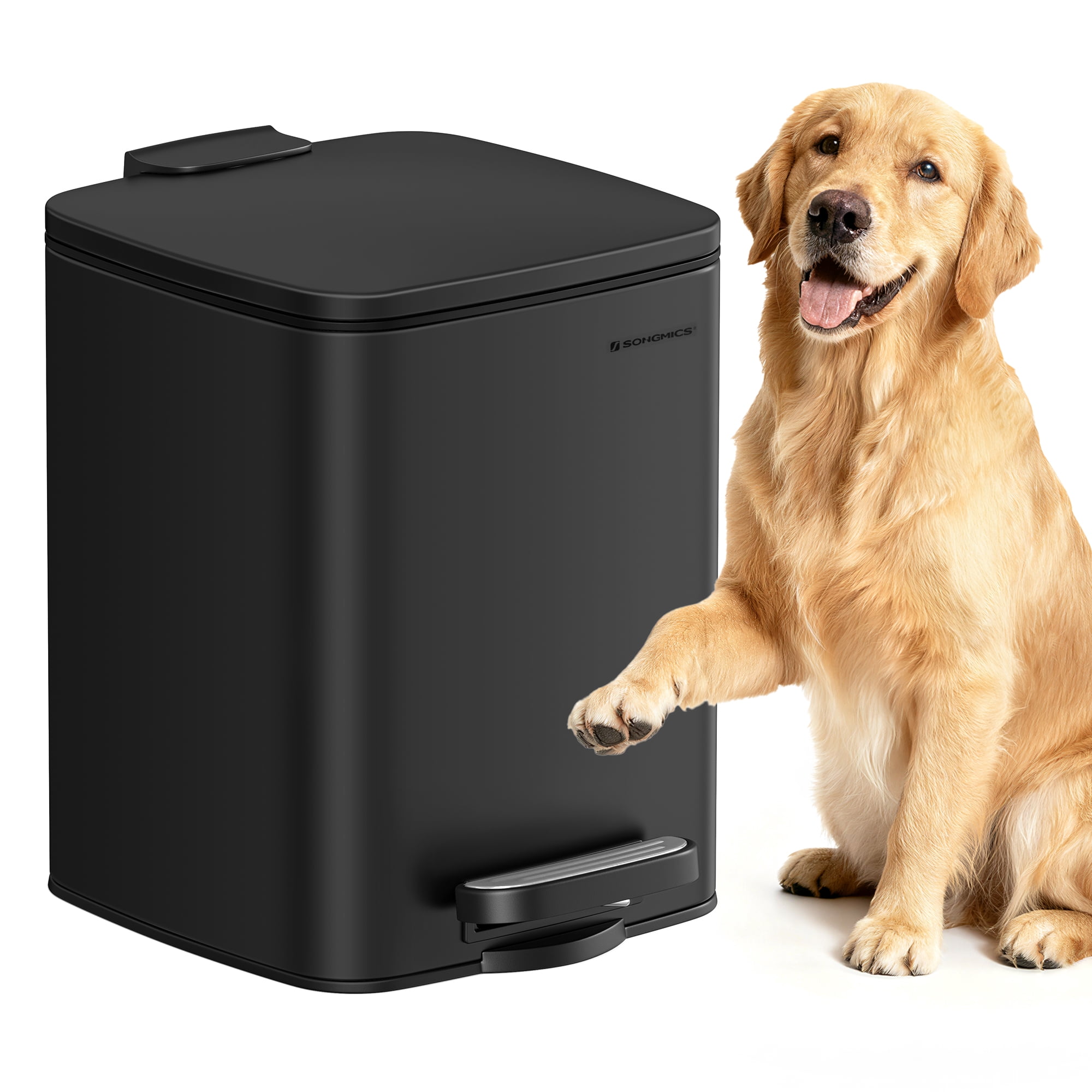 SONGMICS Dog Poop Trash Can, 1.6-Gallon (6 L) Outdoor Garbage Can with Lid, Soft Close, Stainless Steel with Inner Bucket, Ink Black
