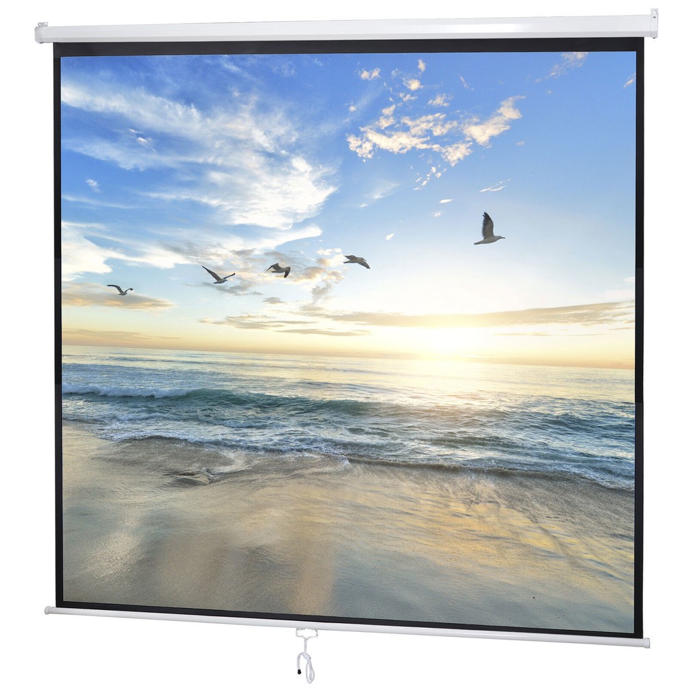 SONGMY 119-inch Manual Pull Down Projection Screen, Matte White HD ...