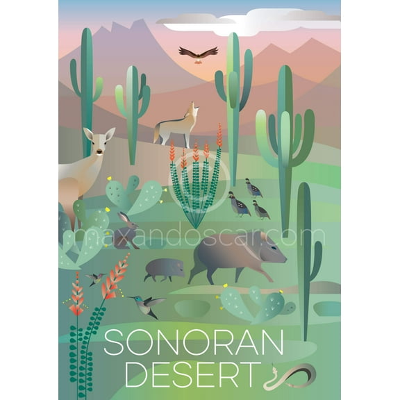 SONORAN DESERT PRINT