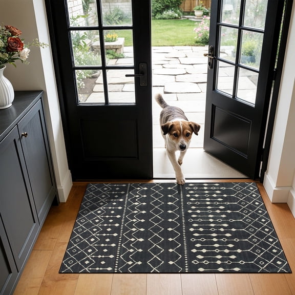 SONORO KATE 2'×3' Area Rugs for Living Room, Moroccan Washable Non Slip Carpet, Carbonblack