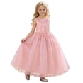 thumbnail image 1 of SONXAHE Big Girl Dress Flower Embroidery Sleeveless Tulle Evening Dress Wedding Party Princess Ball Gown Pink, 1 of 8