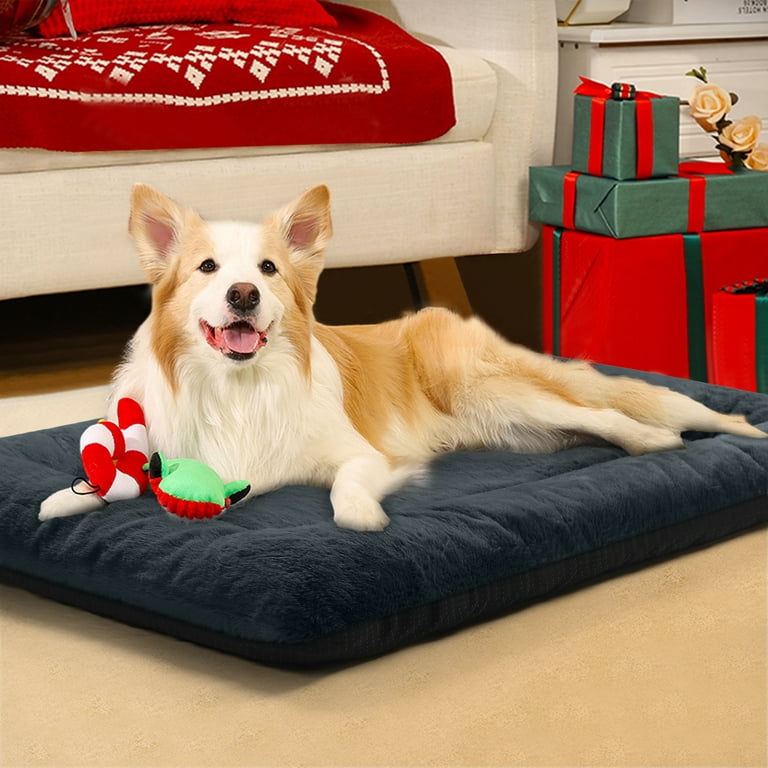 Dog Bed Mat Dog Crate Pad Washable Dog Mattress Pets Kennel Pad for Small  Dogs and Cats, 20 x 14, Blue 
