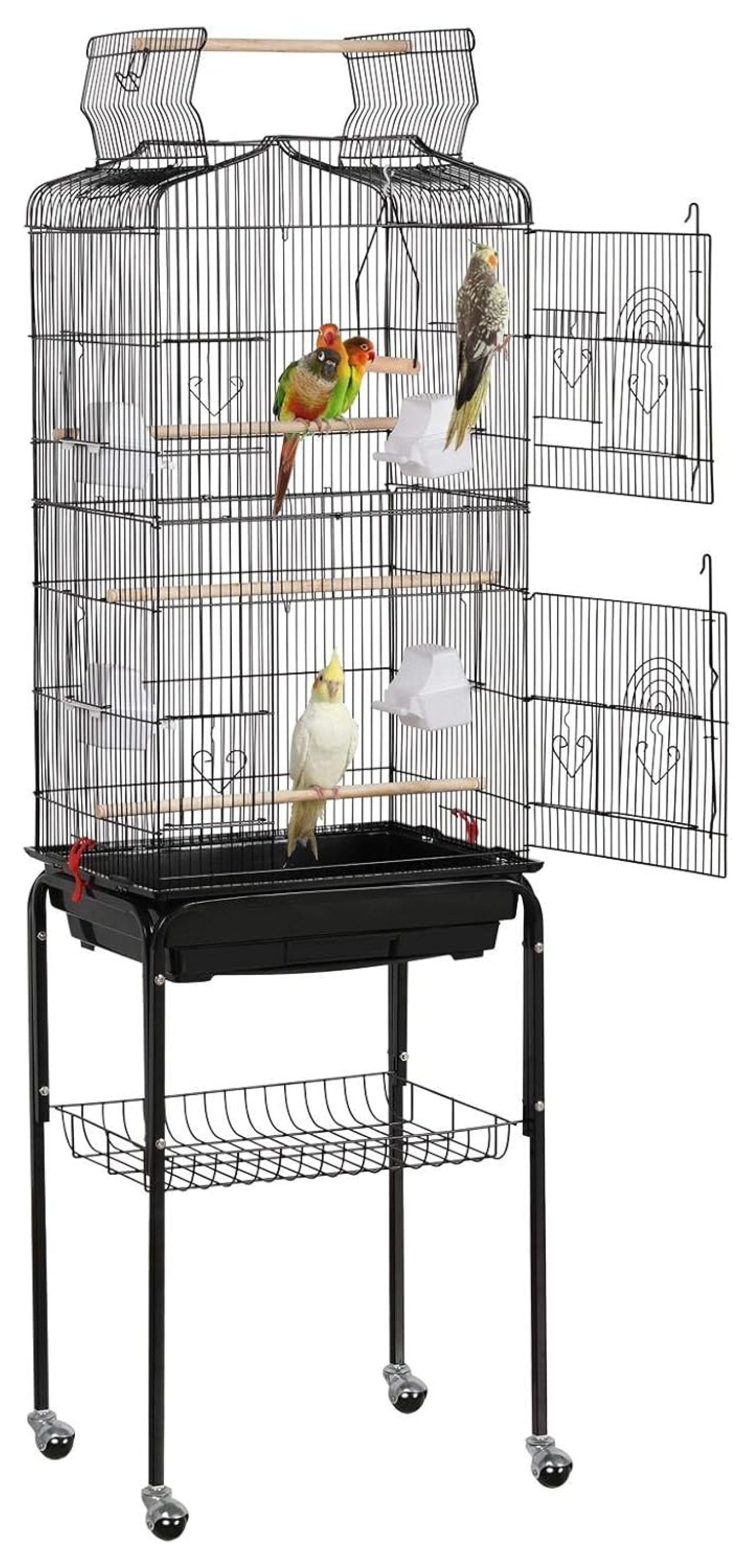Illustration of Best Cage For Tiny Parrotlet Birds