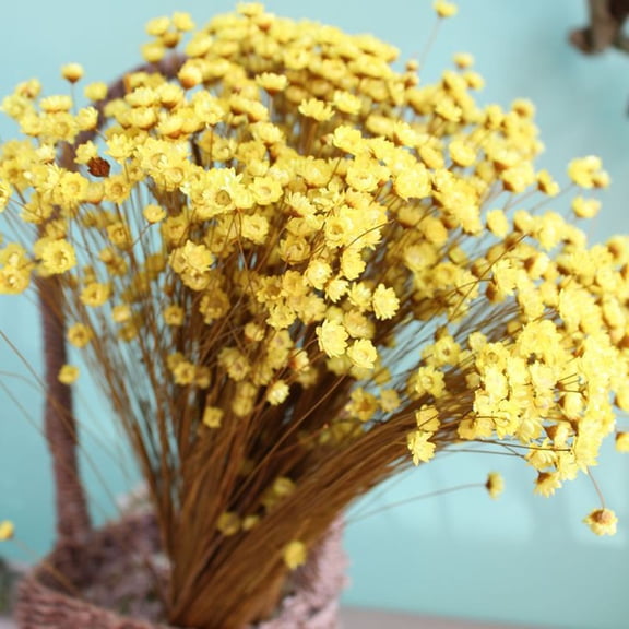 SOPOTUTU Natural Yellow Small Star Flower Handmade for Home 100Pcs