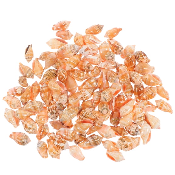 SOPOTUTU 100pcs Craft Supplies Assorted Color Conch Shells for Art Projects 10.50.4in Decoration