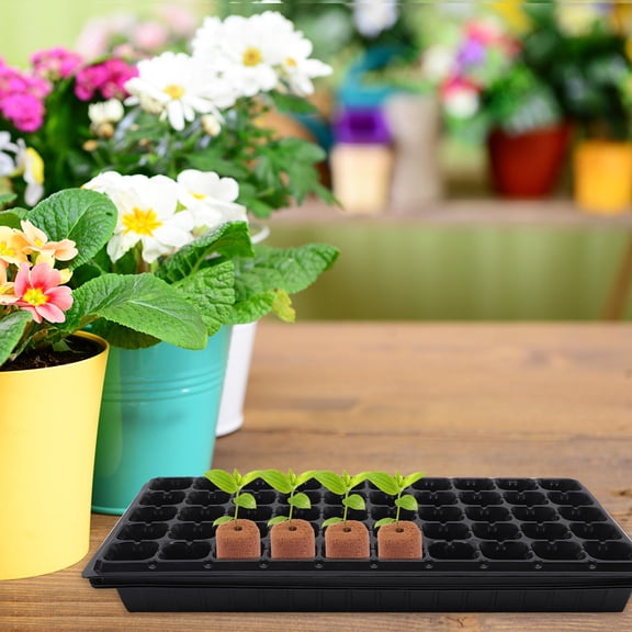 SOPOTUTU 100Pcs Soilless Nutrient Block Light Brown Peat Breathability Gardening