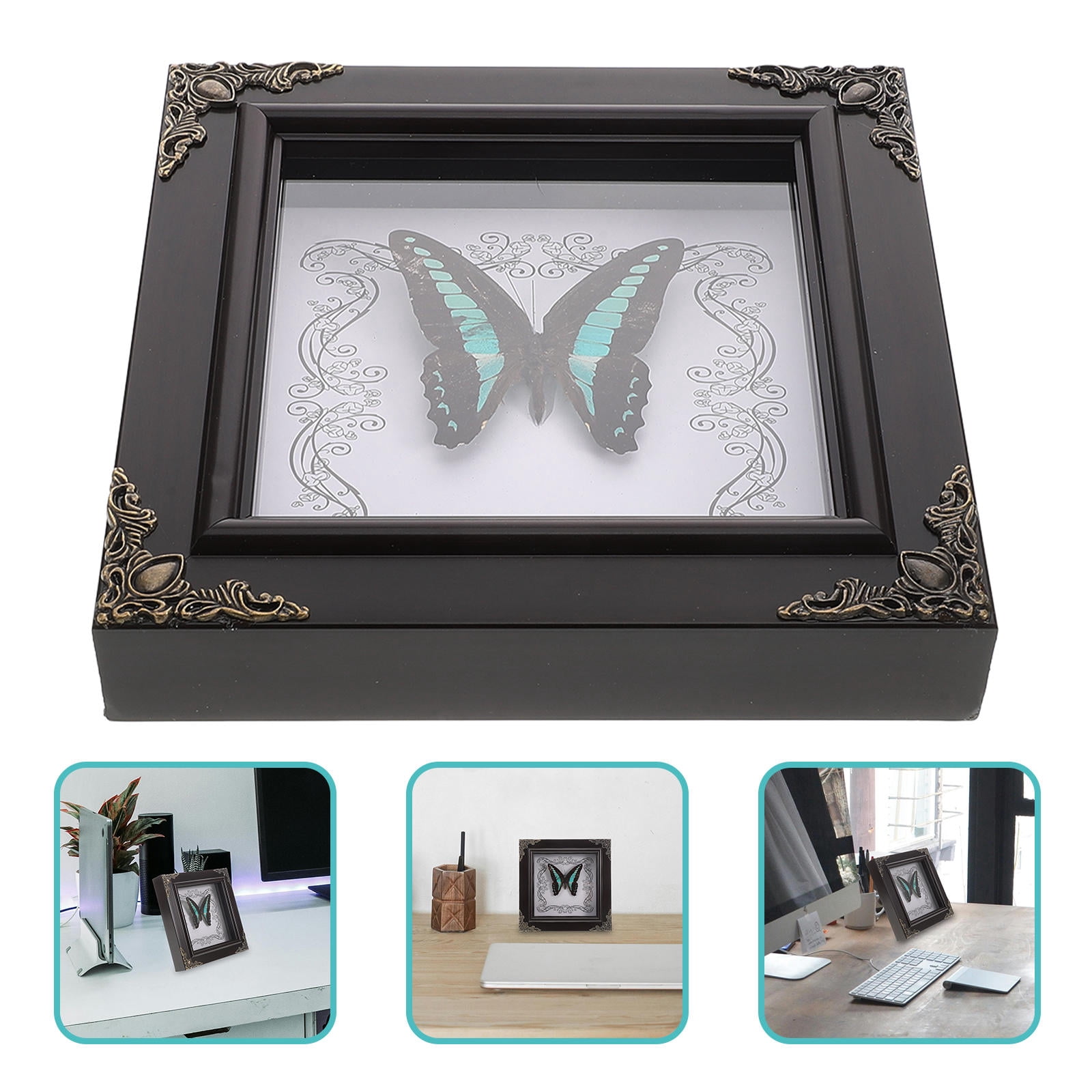 SOPOTUTU 1Pcs Butterfly Specimen Frame Wooden Display Case 6.6x6.6x1 ...
