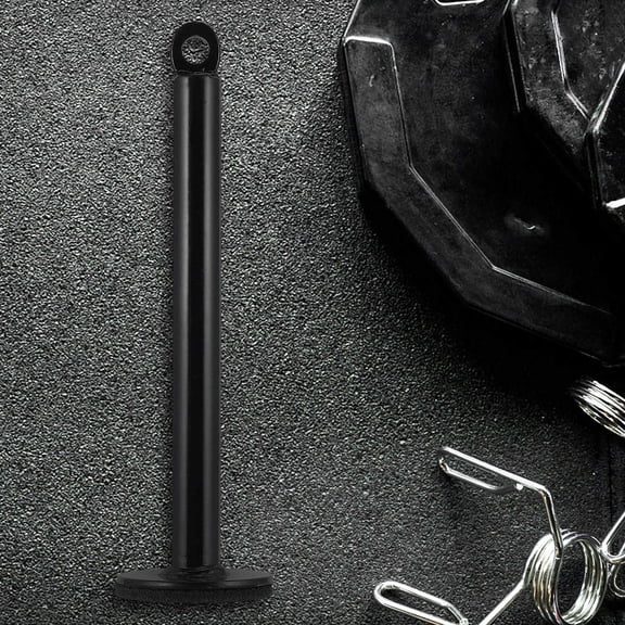 SOPOTUTU 2Pcs Stable Black Fitness Loading Pin Weight Plate Rod for Commercial and Home Gym