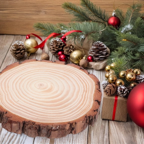 SOPOTUTU Rustic Wooden Bark Slices Multi Color Craft Wood Rounds for Decorating 2Pcs
