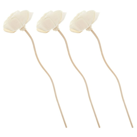 SOPOTUTU 3pcs Dried Flower Diffuser Sticks Wood Essential Oil Diffusion Home