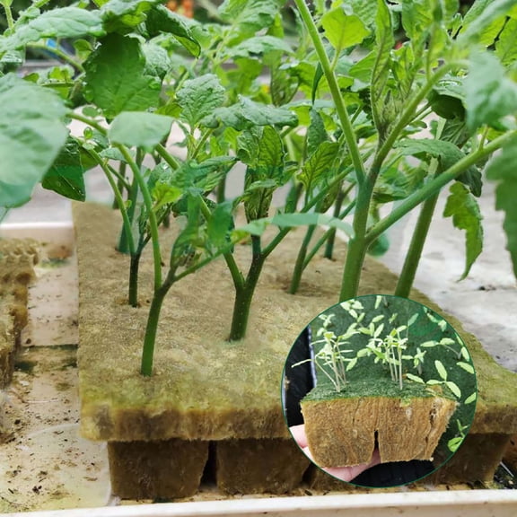 SOPOTUTU Soilless Cultivation Medium for Hydroponic Farming and Gardening Use