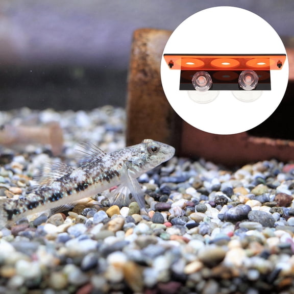 SOPOTUTU Fish Tank Supplies Coral Holder Orange Acrylic 1Pack