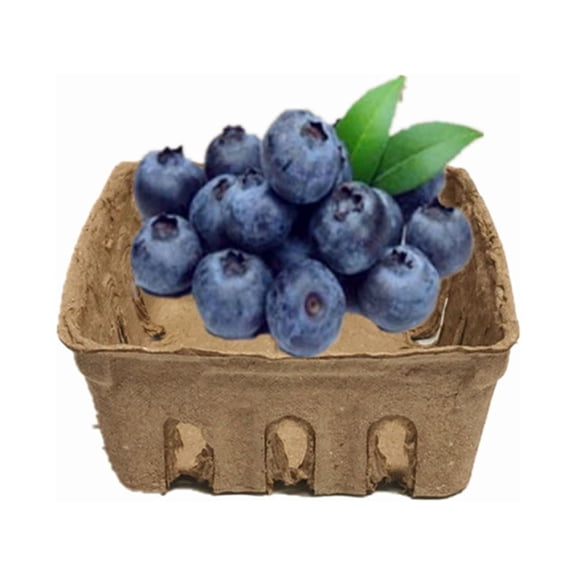 SOPOTUTU Fruit and Vegetable Storage Containers Cardboard Produce Box 40Pcs