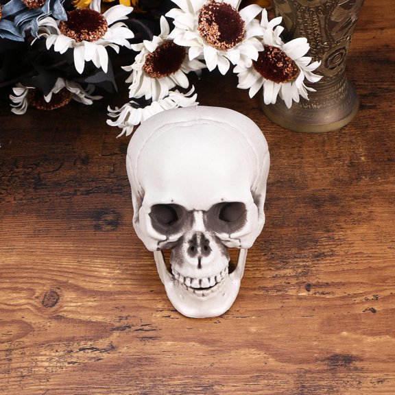 SOPOTUTU Sopotutu Haunted House White Skull Decor for Party