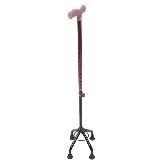 SOPOTUTU Elderly Walking Stick for Exercise and Camping, Lightweight Hiking Cane, 1 Set
