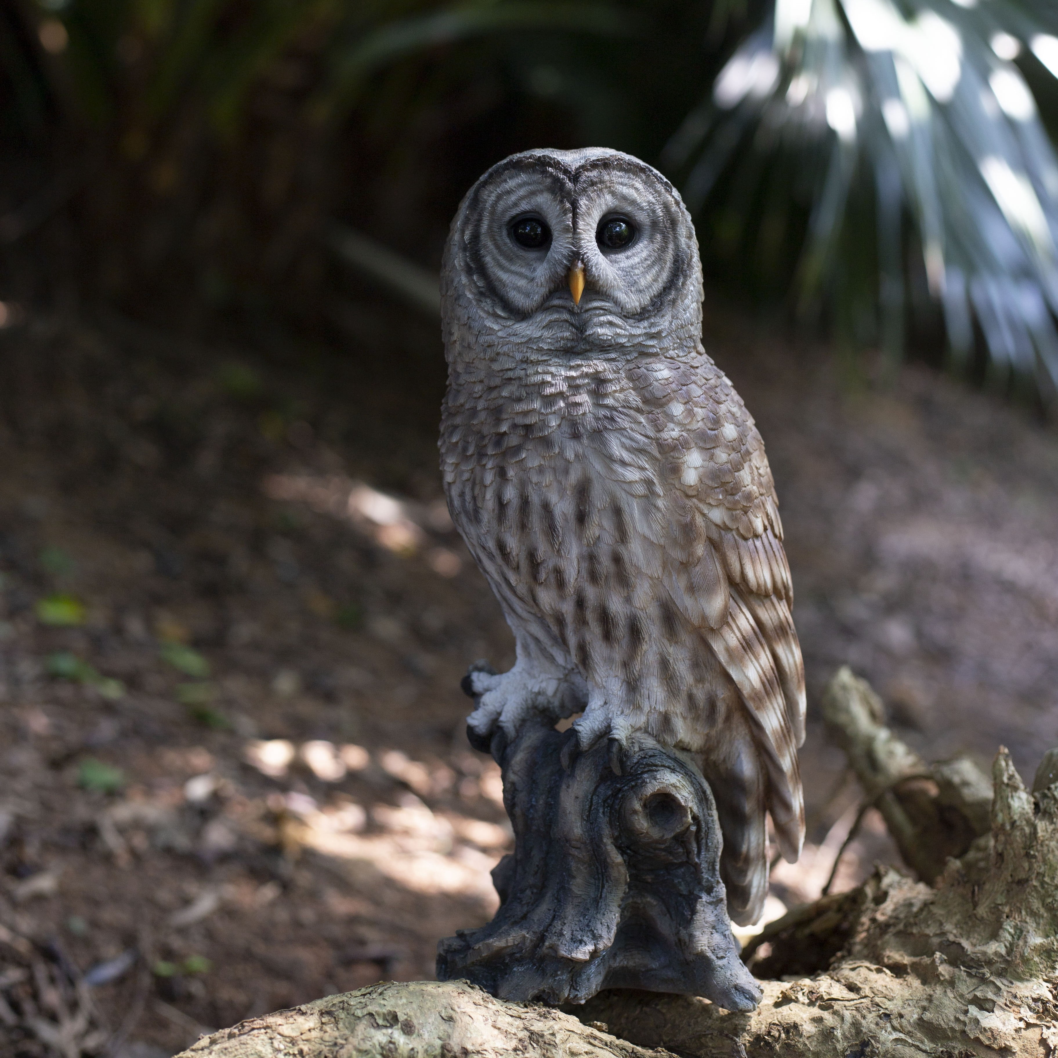 SOREAL Brown Barred Owl on branch | Handcrafted Decorative Bird Statue for Home & Garden | Premium Polyresin, Weather-Resistant Indoor/Outdoor Decor