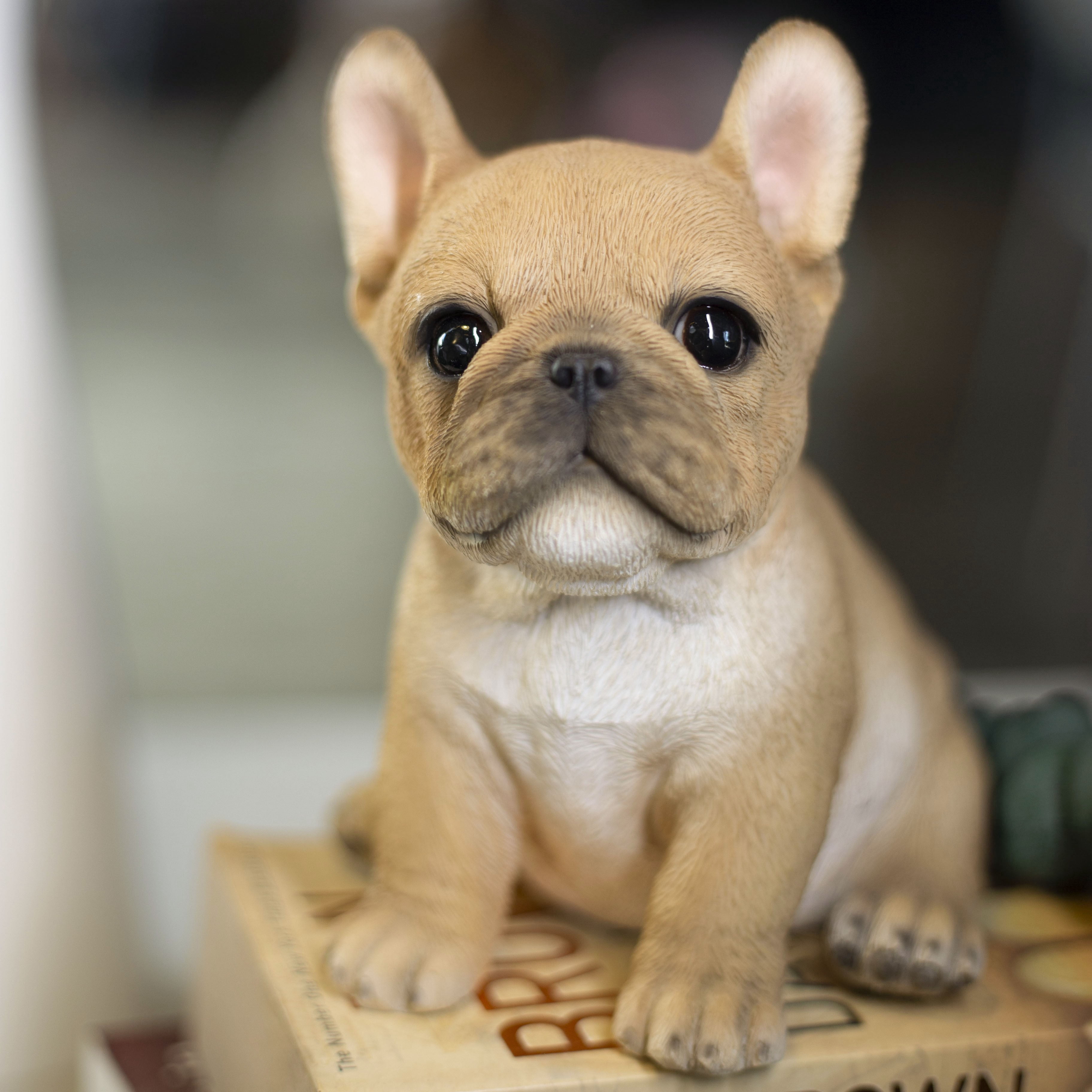 SOREAL Brown French Bulldog Decorative Puppy Figurine for Home & Garden Décor, Handpainted Polyresin Dog Statue, Realistic Design | Gift for Dog Lovers | Weather-Resistant Indoor/Outdoor Decor