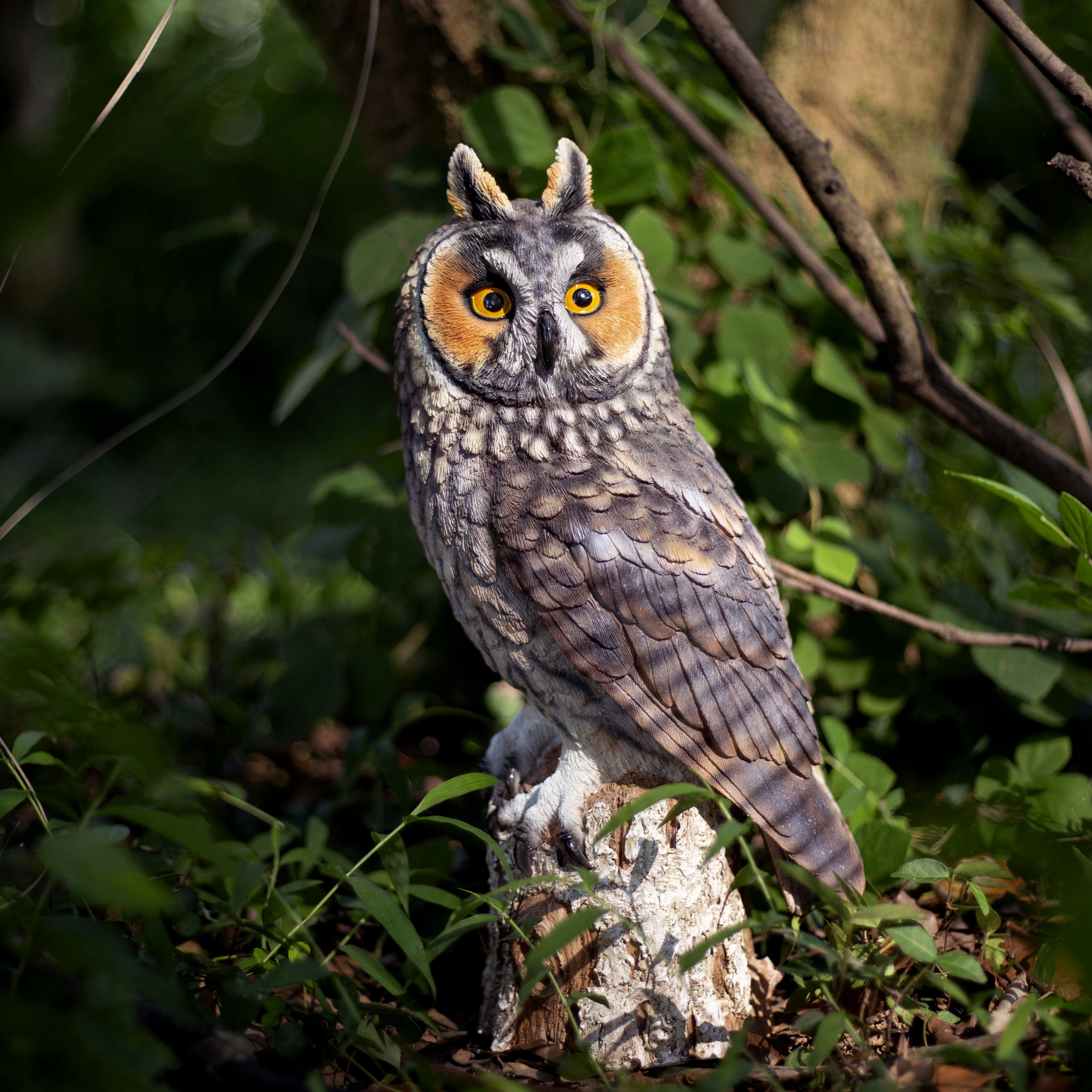 SOREAL Brown Long Eared Owl on branch | Handcrafted Decorative Bird Statue for Home & Garden | Premium Polyresin, Weather-Resistant Indoor/Outdoor Decor