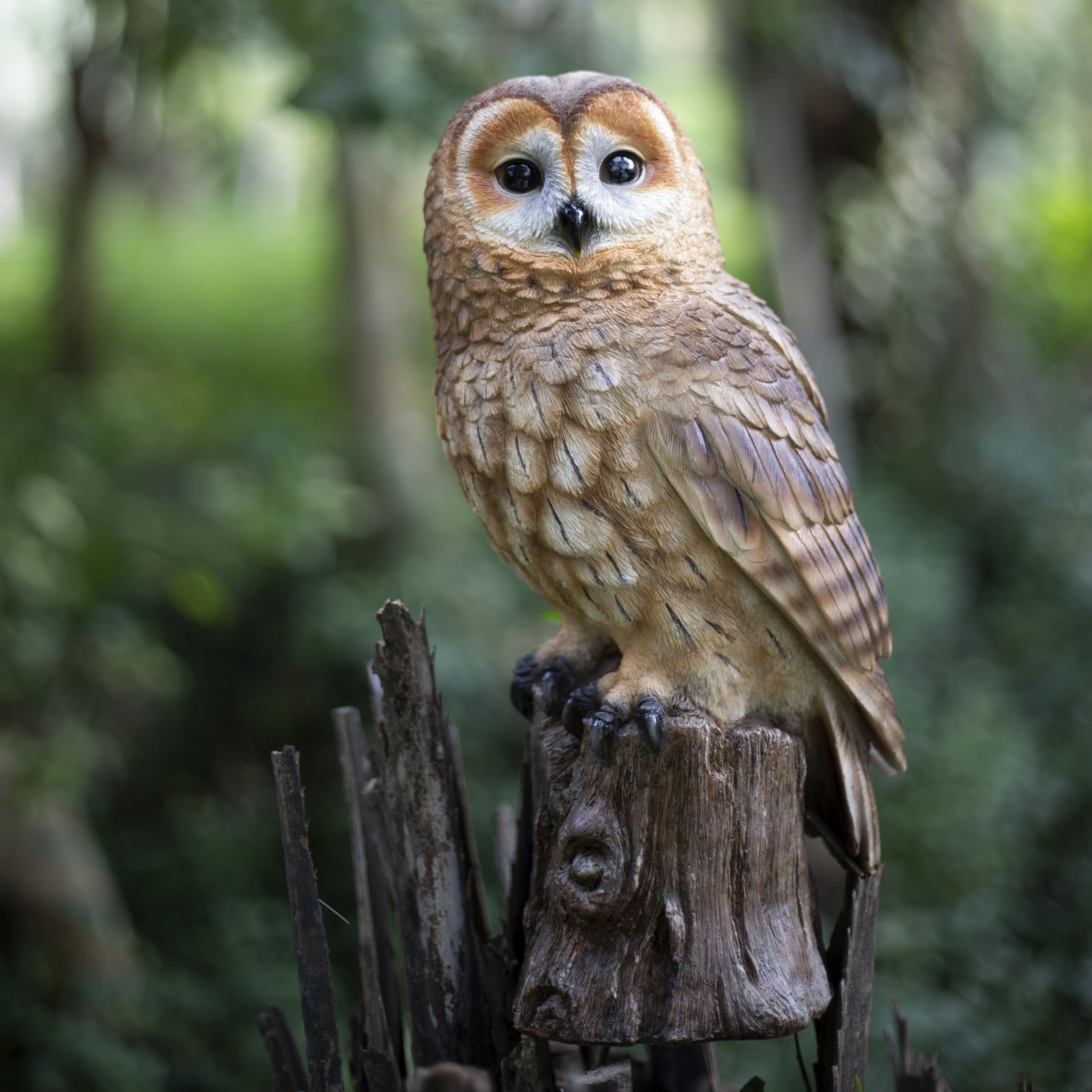 SOREAL Brown Owl on branch | Handcrafted Decorative Bird Statue for Home & Garden | Premium Polyresin, Weather-Resistant Indoor/Outdoor Decor