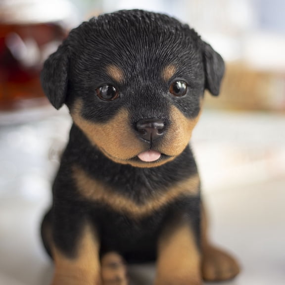SOREAL Brown Rottweiler | Handpainted Decorative Puppy Statue for Home & Garden Decor | Premium Polyresin Dog Statue | Gift for Dog Lovers | Weather-Resistant Indoor/Outdoor Decor