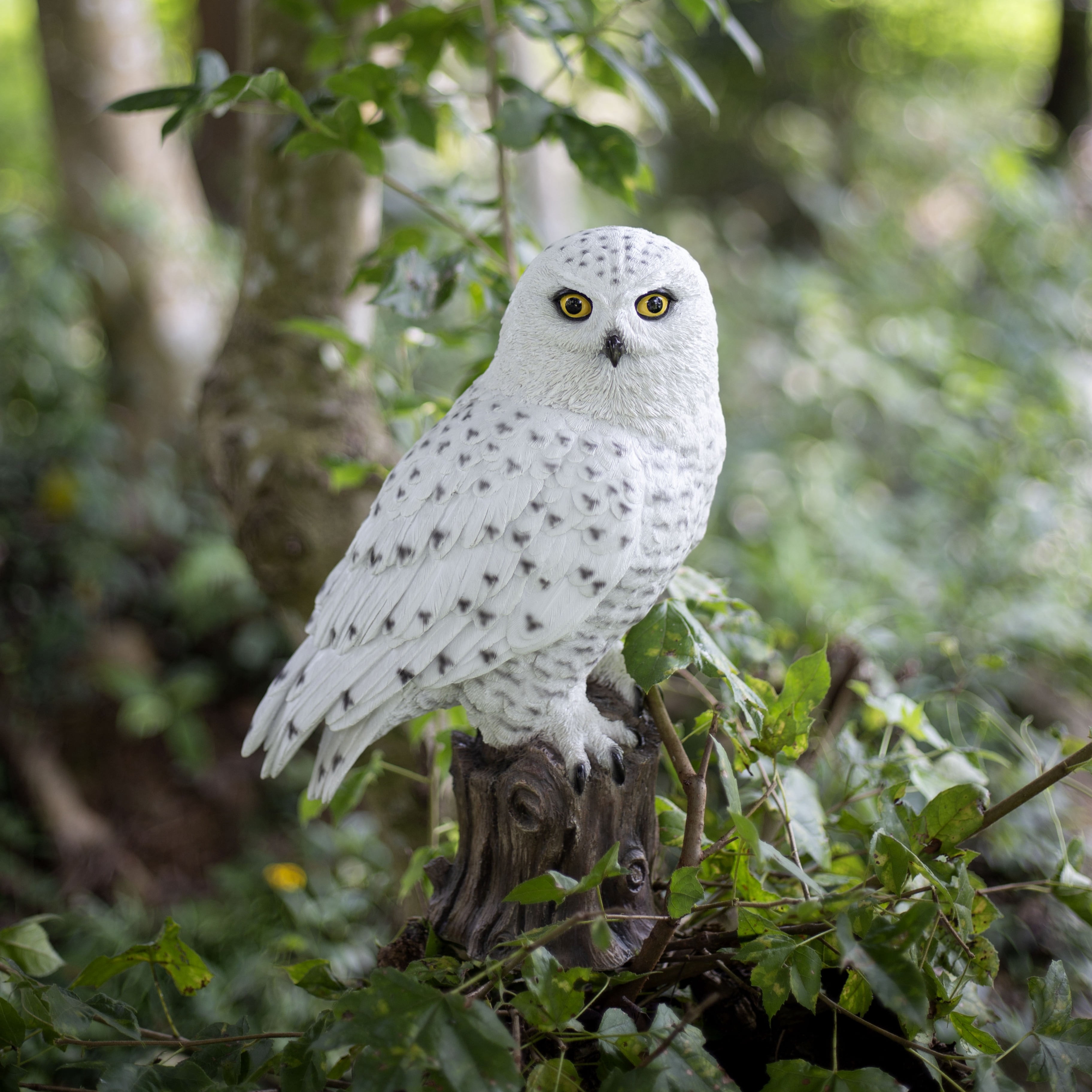 SOREAL White Snowy Owl on branch | Handcrafted Decorative Bird Statue for Home & Garden | Premium Polyresin, Weather-Resistant Indoor/Outdoor Decor