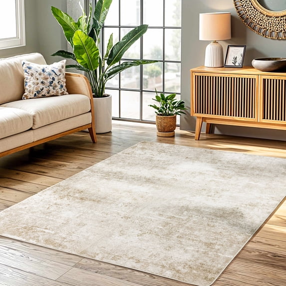 SONORO KATE 4'x6' Area Rugs for Living Room, Machine Washable Oriental Vintage Non Slip Soft Indoor Area Carpet, Beige