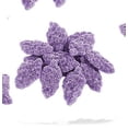 thumbnail image 1 of SOUR GRAPE SLICES, 1 of 1