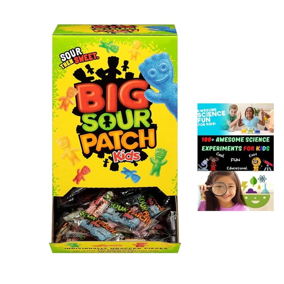 SOUR PATCH KIDS Big Individually Wrapped Soft & Chewy Candy, Christmas Candy Stocking Stuffers, 240 Count Box+ E-Book "Awesome Science Experiments For Kids"