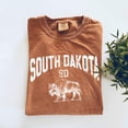 thumbnail image 1 of SOUTH DAKOTA Garment Dyed Graphic T-Shirt, 1 of 4