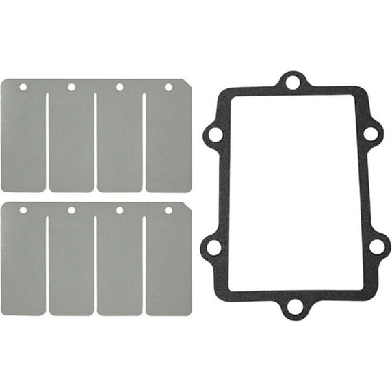 SP1 SM-07149C Reed replacement valve Rebuild Kit