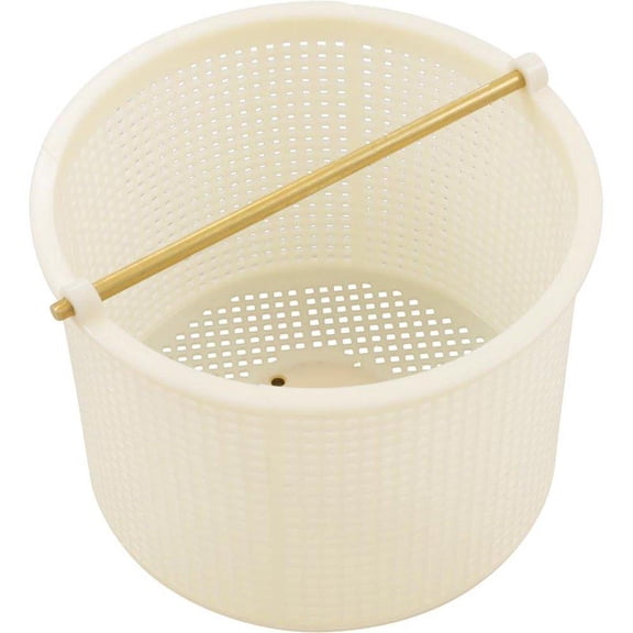 SP1080 SKIMMER BASKET V60-555