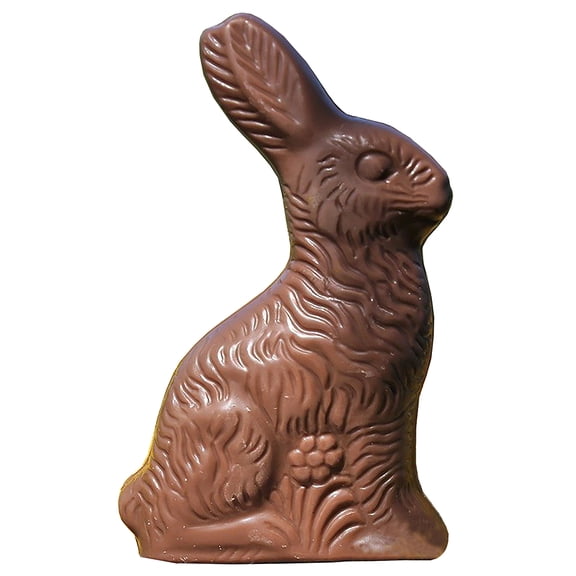 SP12050 Chocolate Bunny Cardboard Cutout