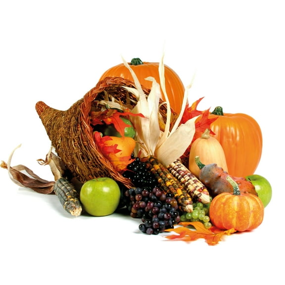 SP12111 Thanksgiving Cornucopia