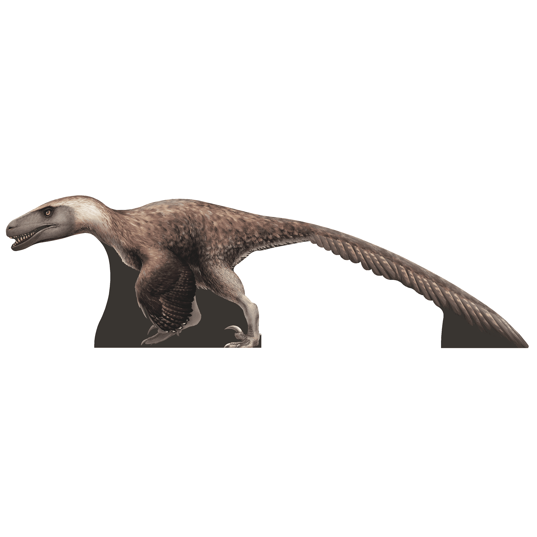 SP12135 Utahraptor Realistic Bird-like Velociraptor Cutout - Walmart.com