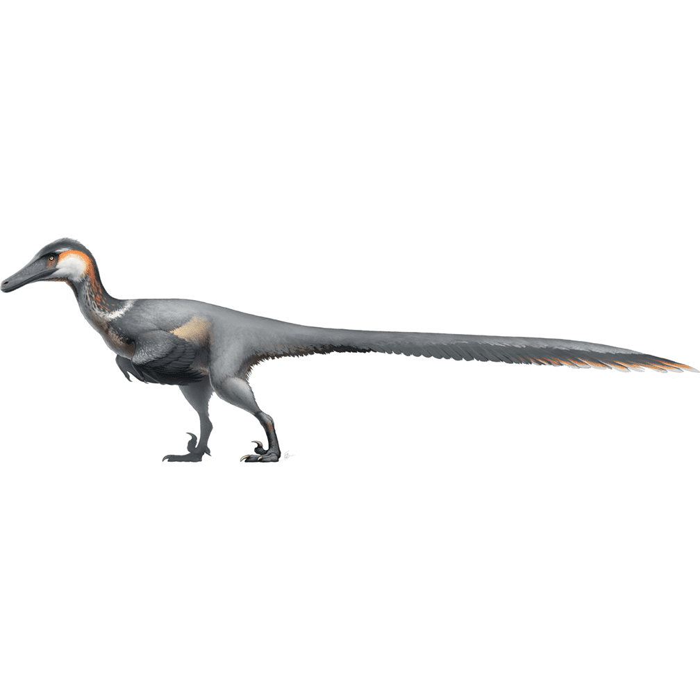 Gray and White Realistic Austroraptor Cardboard Cutout