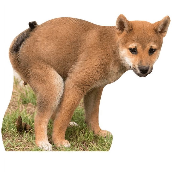 SP12838 Dog Pooping Cardboard Cutout Standee Standup