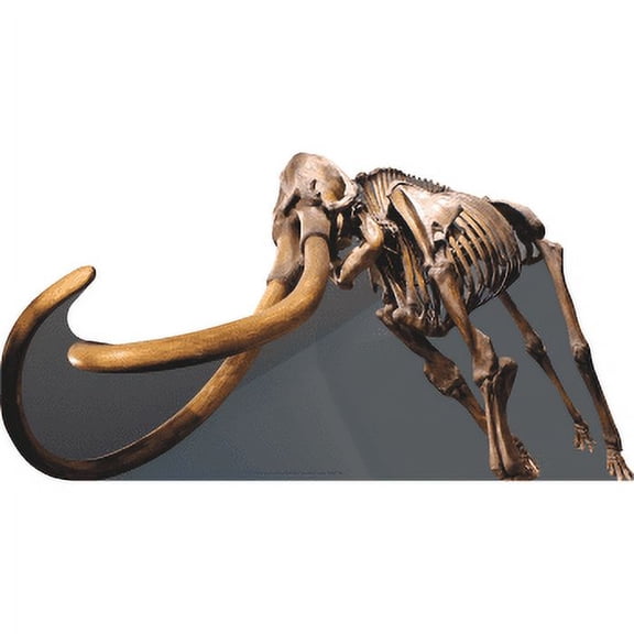 SP12860 Woolly Mammoth Skeleton Paleolithic Prehistoric Ancient Beast Cardboard Cutout Standee Standup